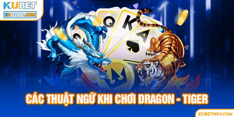 Thuật ngữ trong cá cược Rồng Hổ