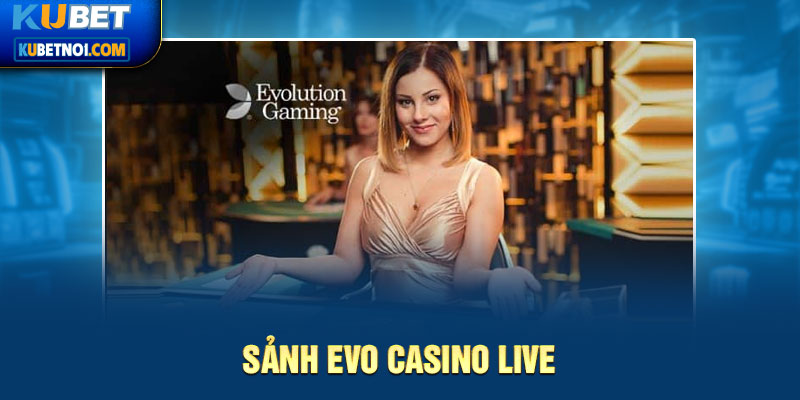 Sảnh Evo casino live